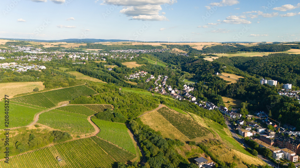 Fototapeta premium Vineyards, Trier cityscape, forest, meadows and agriculture fields, moselle valley, aerial view, summer landscape rhineland palatinate, Germany