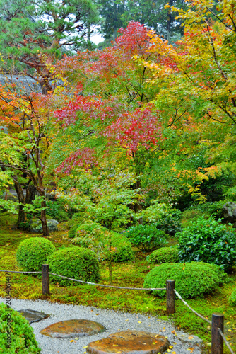 圓光寺の紅葉