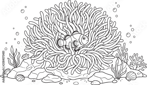 Tableau sur toile Clownfish swimming in a sea anemone on a coral reef, black and white outline vec