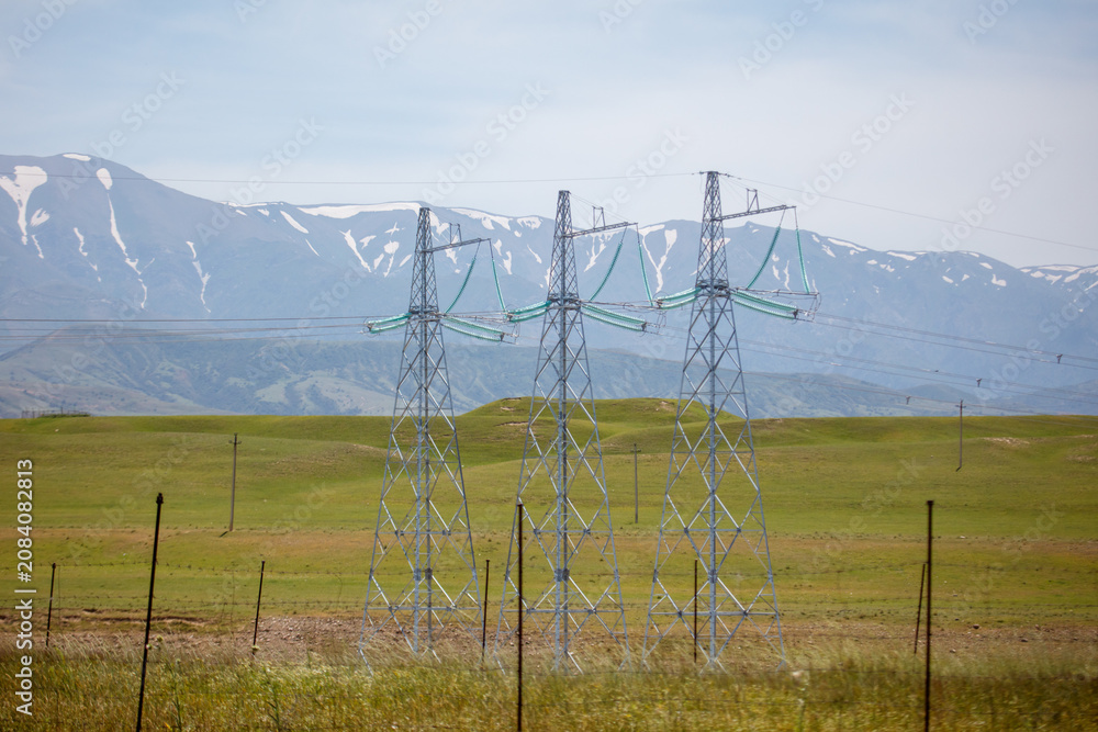 Fototapeta premium Electric pylons stretch across a green, open field