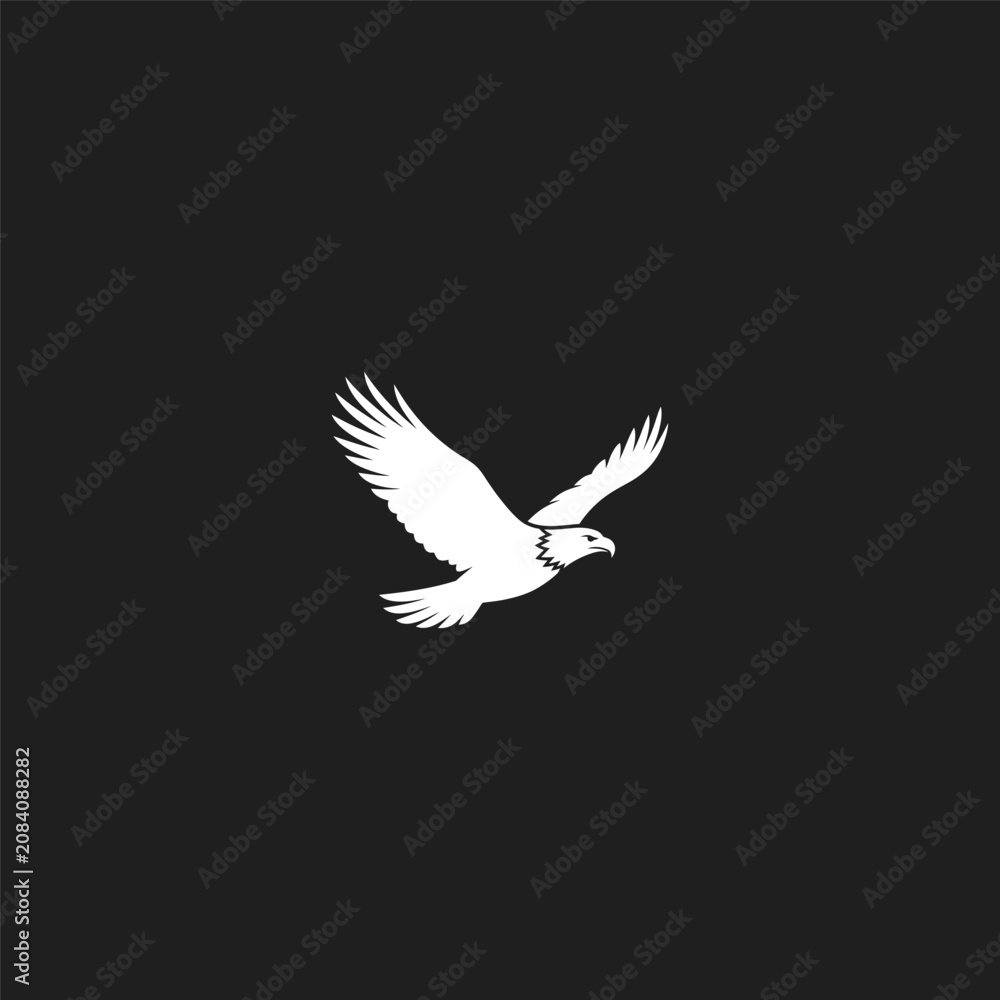 Fototapeta premium White eagle silhouette soaring on dark background