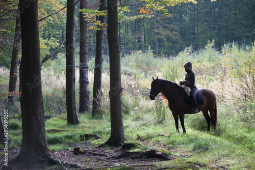 Horse and Rider in Sunlit Forest Clearing in Ganlose Ore forest in Denmark 2015