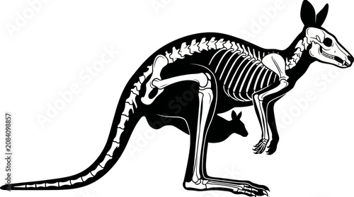 Tableau sur toile Kangaroo Skeleton with Joey Vector Illustration