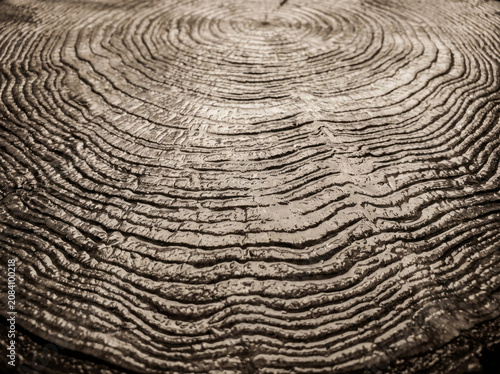 Abstract concentric wavy lines on a textured earthy surface.