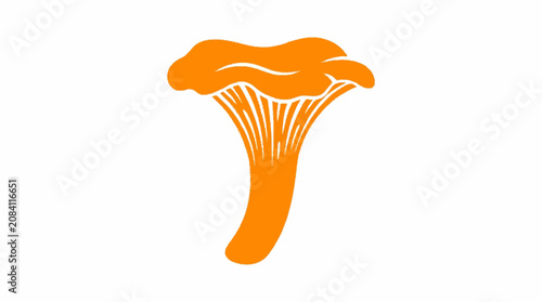Fotografía Orange Chanterelle Mushroom Illustration Simple Graphic.