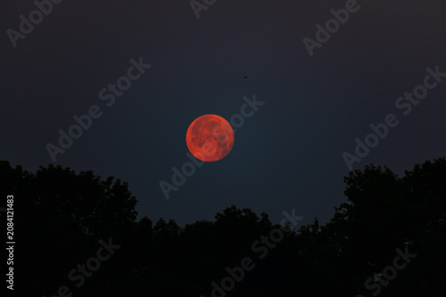 Deep Red Full Moon Above Forest Silhouettes in Dark Evening Sky