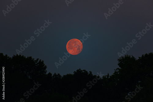Deep Red Full Moon Above Dark Forest Silhouettes in Clear Night Sky