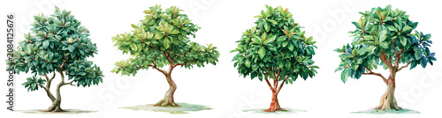 Canvas Print Watercolor trees set featuring diverse green leaf plants and arboreal illustrati