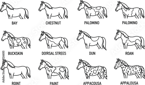 Foto Horse Coat Color Icon Set with Bay, Chestnut, Palomino, Buckskin, Dun, Roan, Pai