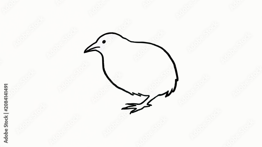 Fototapeta premium Minimalist Line Art Illustration of Cute Kiwi Bird