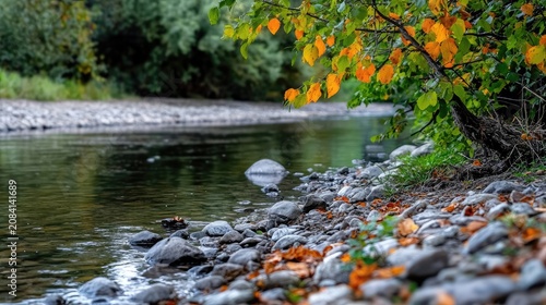 Tranquil riverside scene with colorful foliage and smooth stones creates peaceful view
