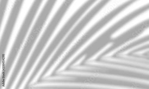 Sharp palm leaf shadow cast upon a clean transparent background