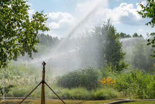 Obraz na plátně A rotating sprinkler sprays refreshing water across lush vegetation in summer