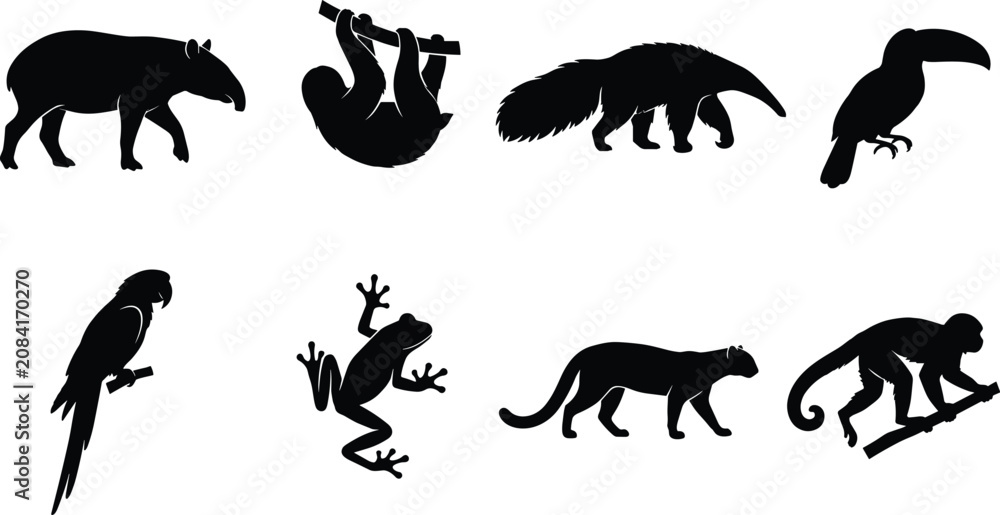 Obraz premium Rainforest animal silhouettes including tapir sloth anteater toucan parrot frog jaguar and monkey