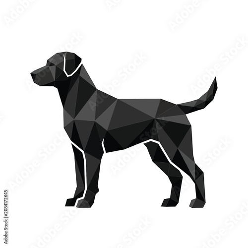 Black dog in geometric style standing.