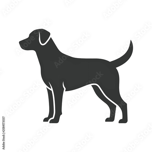 Black dog standing profile view 1.