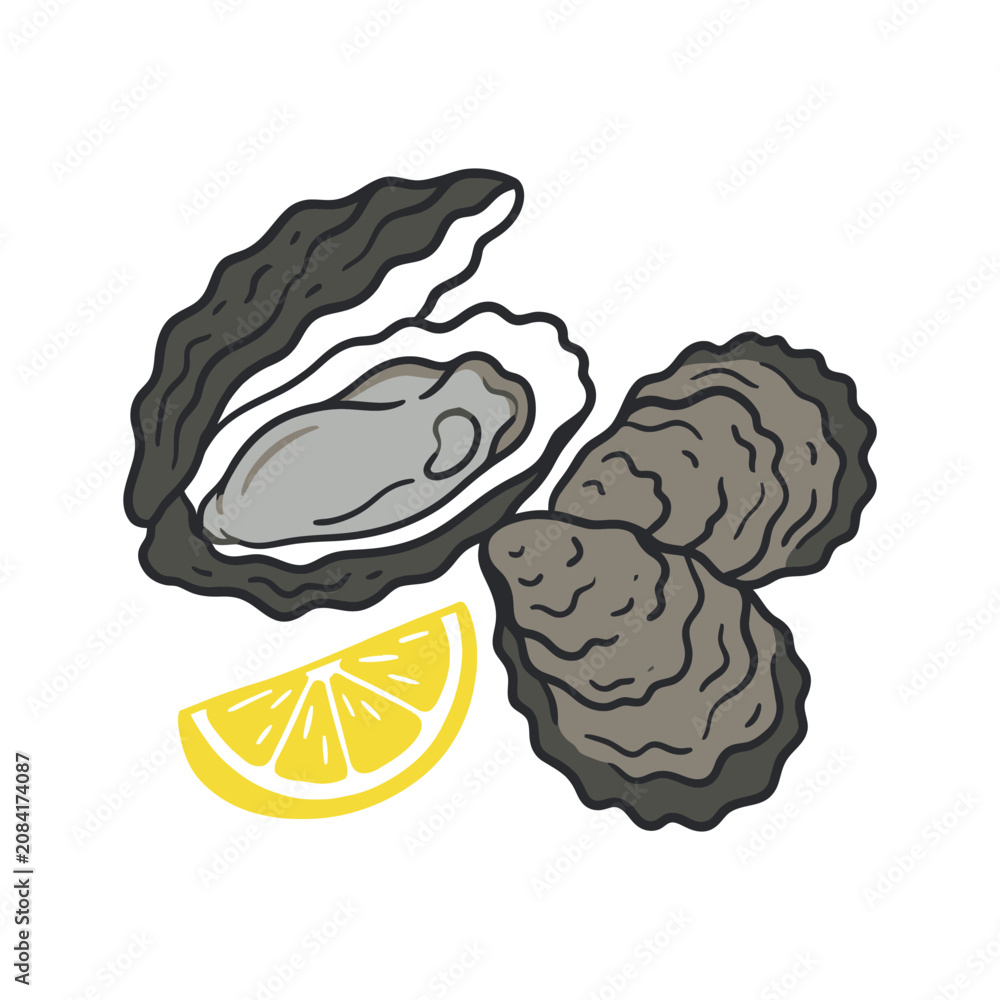 Fototapeta premium Hand drawn illustration of fresh oysters and a lemon wedge
