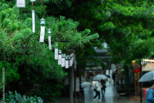 平塚八幡宮 七夕祭り