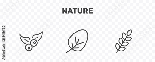 Photos nature icon set with bilberry leaf, apricot leaf leaf, briar signs in flat outli