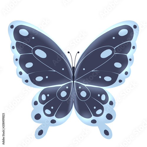 Bild auf Leinwand Symmetrical dark blue butterfly graphic design with beautiful light blue details, suitable for naturethemed designs and print projects