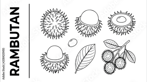 Konstfotografi An illustration of various rambutan fruits and leaves on a white background