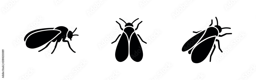 Photos Fly Insect Icons Set