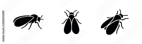 Foto Fly Insect Icons Set