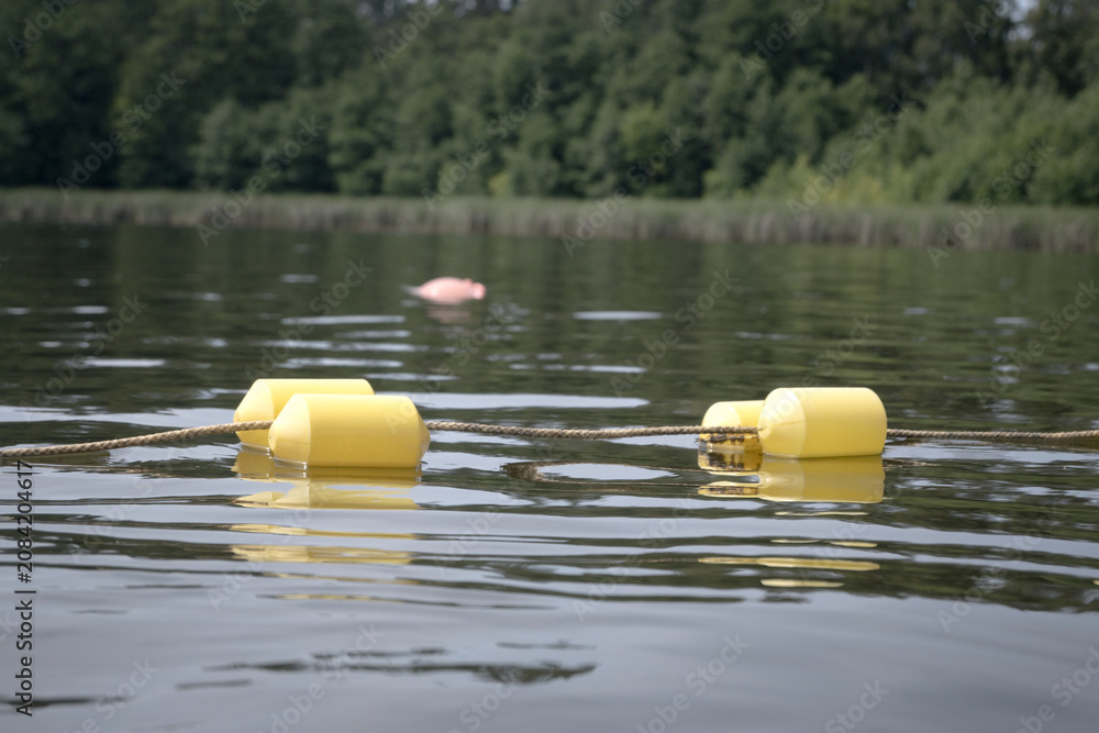 Obraz premium Buoys marking the area of ​​a supervised swimming zone. A lakeside swimming area in summer. 