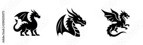 Photos Dragon icon set