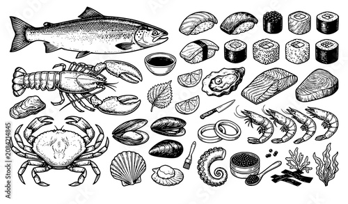 Foto Premium Vintage Hand Drawn Seafood and Japanese Sushi Engraving Vector Element S