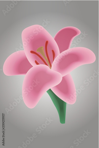 Pink Lily Flower Illustration_ Realistic Botanical Floral Blossom on Soft Gradient Background