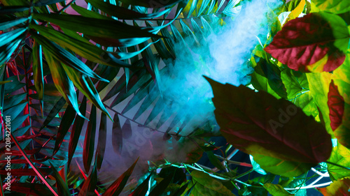 Creative fluorescent color layout made of tropical leaves. Flat lay neon colors. Nature concept.