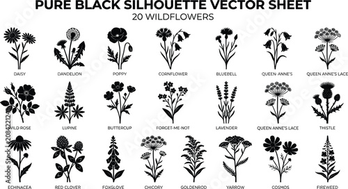Wildflower Silhouette Vector Set - 20 Black Flower Icons and Botanical Elements

Keywords: