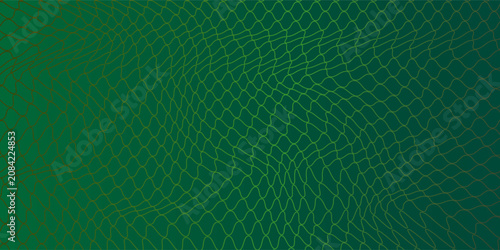 Konstfotografi Mesh texture for fishing nets