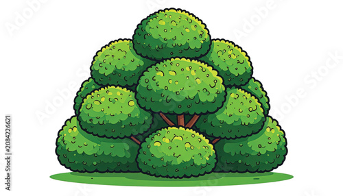 Green Moss Balls on a Surface.