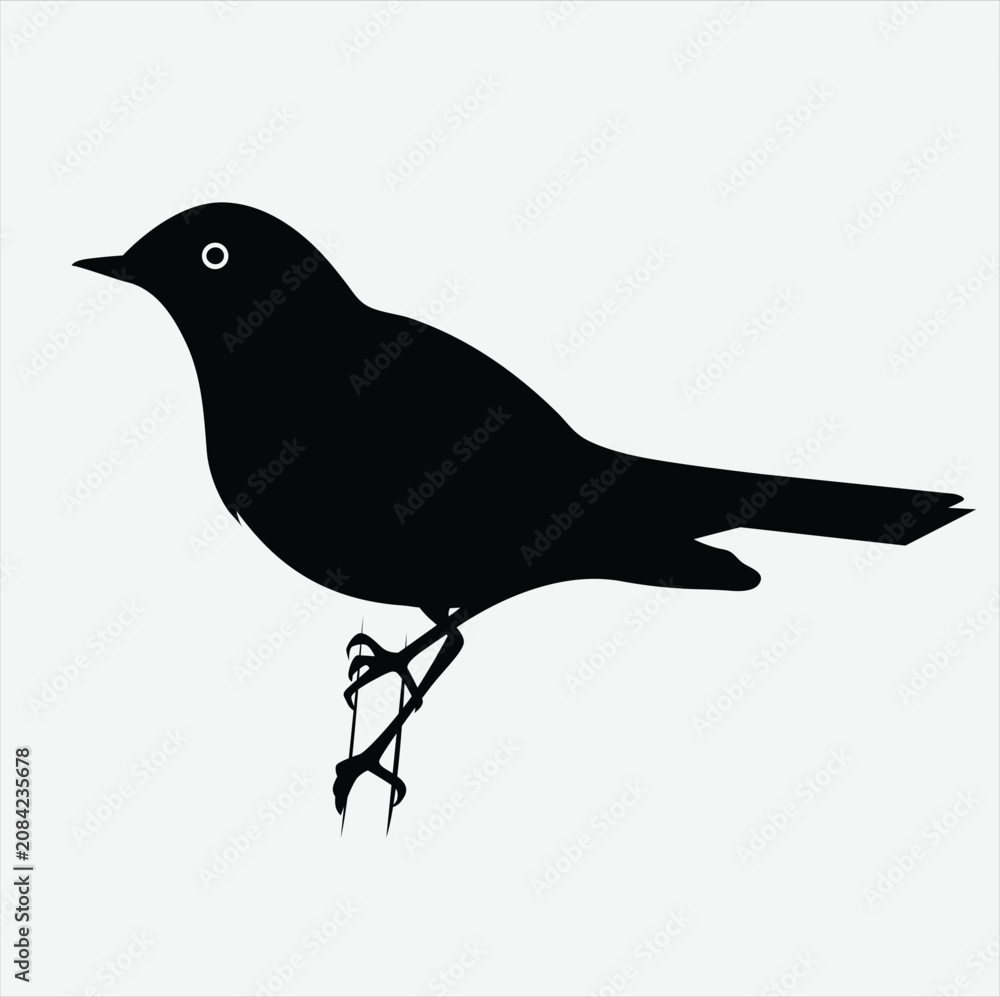Obraz premium Dove Sparrow Finch Pigeon Bird Silhouette Vector Set