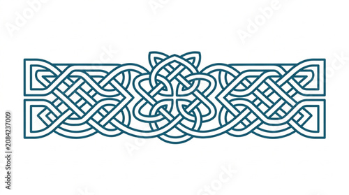 Intricate Celtic Knot Border Design with Floral Elements.