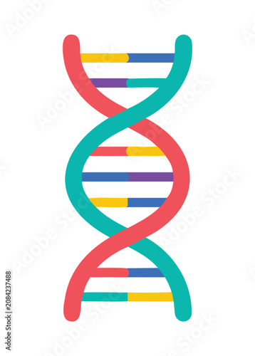 Colorful DNA Helix Isolated Vector Illustration