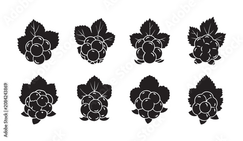 Cloudberry illustrations with leaves in a minimal graphic style against a white backdrop