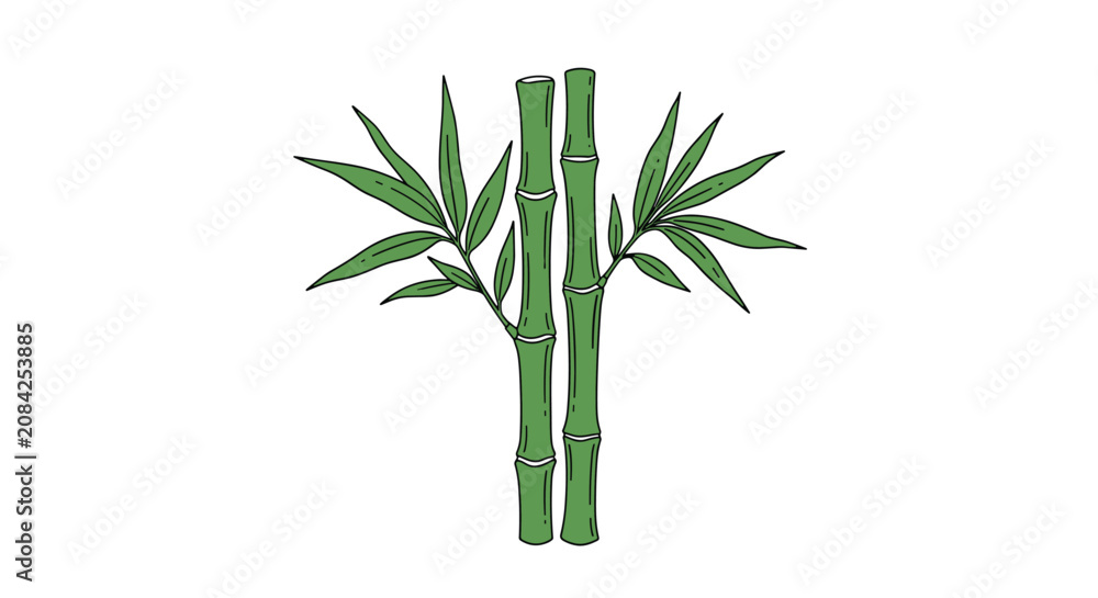 Obraz premium Two vibrant green bamboo stalks with fresh leaves standing tall against a clean white background in hand-drawn style.