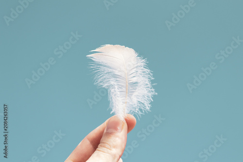 Obraz na płótnie Macro Close-up of Delicate White Feather Gently Held Between Human Fingers on Dr
