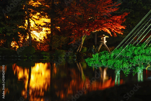 Photography 兼六園の錦秋ライトアップ：霞ヶ池に映えるモミジと雪吊りの美しき競演 / Light-up of Autumn Colors at Kenrokuen: A Be