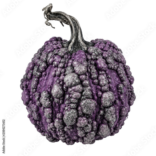 Purple warty pumpkin isolated on white, png transparent background.