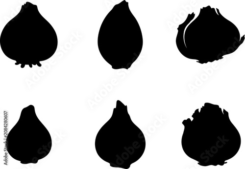 Fresh onion and garlic vegetable bulbs set showing different organic root shapes