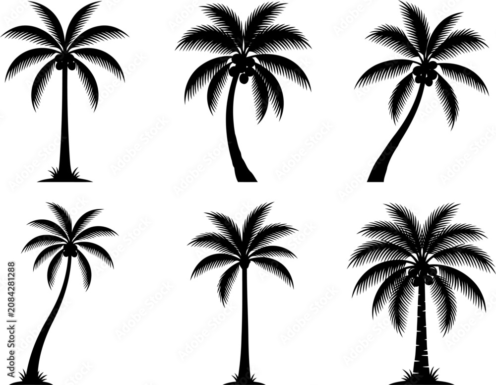 Fototapeta premium Tropical palm tree bundle illustrating different curved trunks and leafy frond shapes