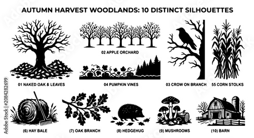 Foto Autumn Harvest Woodlands Silhouettes: 10 Distinct Vector Graphics for Seasonal D