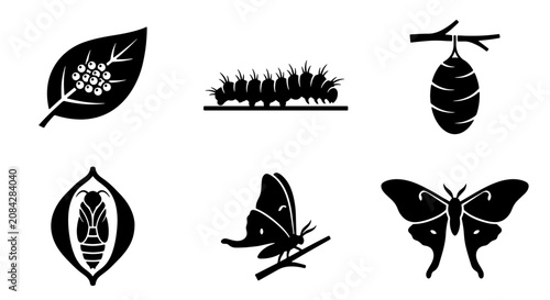 Billede på lærred Butterfly Life Cycle Vector Icons: Egg, Larva, Pupa, Cocoon, Emerging Insect, Ad