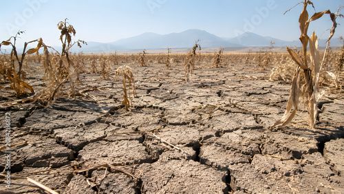 El Nino Drought Cracked Farmland