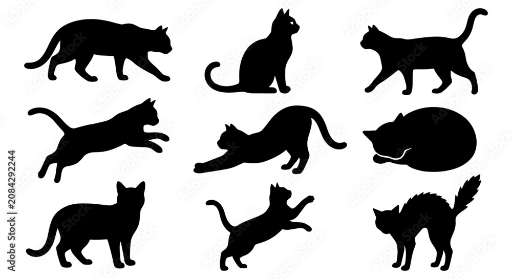 Fototapeta premium Diverse Black Cat Silhouettes Collection, Domestic Feline Poses Vector Set, Elegant Animal Icons for Pet Lovers and Design Projects