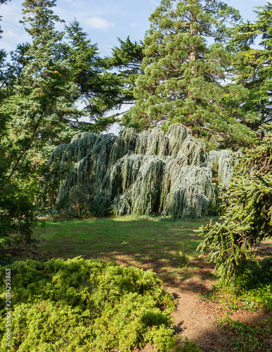 Obraz na płótnie Massandra Park